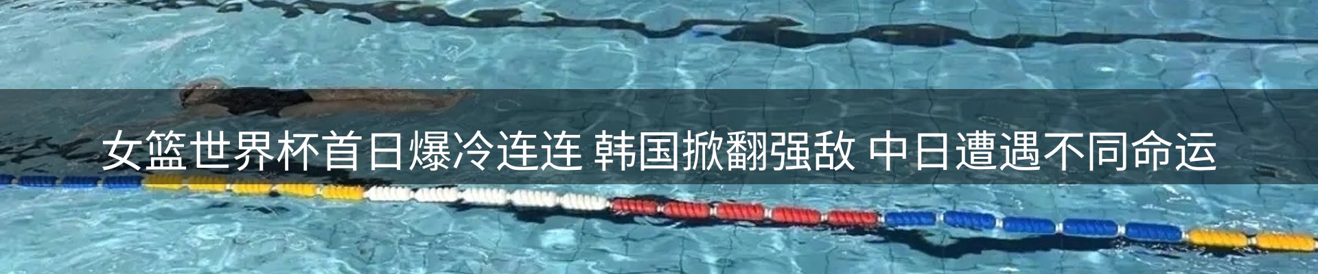 动态精选