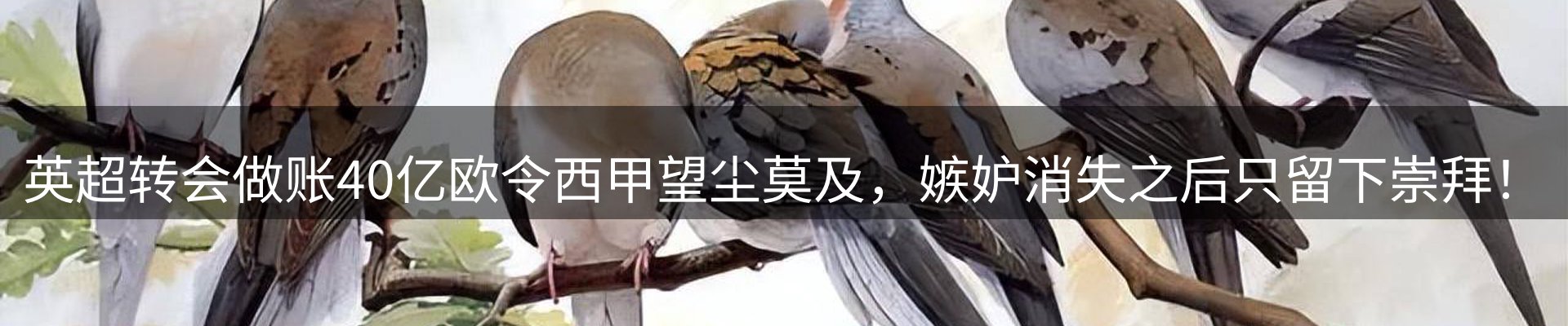 动态精选